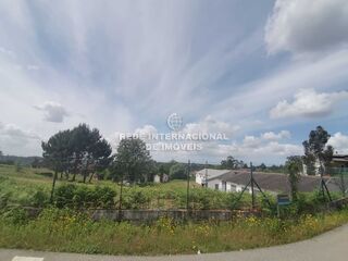 -820392502_ID75a56b01-0000-0500-0000-00001155f5df.jpg