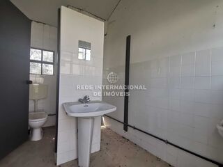 -820392502_ID75a56b01-0000-0500-0000-00001155f5fb.jpg