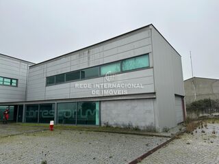-820996564_ID41cb7701-0000-0500-0000-000012903344.jpg