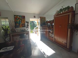 -822875037_IDa6d99801-0000-0500-0000-0000155e7938.jpg