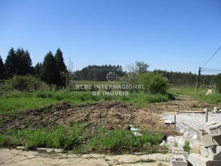 -822975703_ID9cac9a01-0000-0500-0000-00001583be8c.jpg