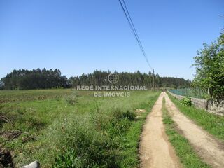 -822975703_ID9cac9a01-0000-0500-0000-00001583be95.jpg