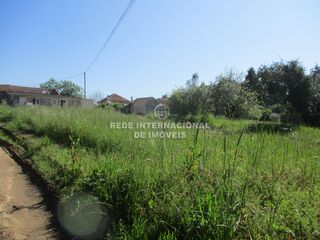 -822975703_ID9cac9a01-0000-0500-0000-00001583be99.jpg