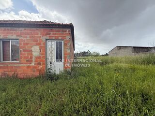 -822976156_ID57339a01-0000-0500-0000-00001577d835.jpg