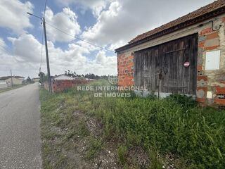 -822976156_ID57339a01-0000-0500-0000-00001577d838.jpg