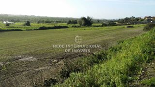 -822980771_IDfcfb9801-0000-0500-0000-00001586d87a.jpg