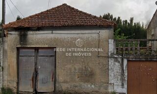 -822980923_ID5ced9901-0000-0500-0000-000015a9774b.JPG