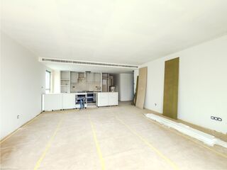 -213191480_ID7d649e01-0000-0500-0000-000015cbe561.jpg