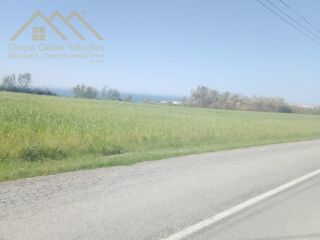 -212968825_IDbcf89401-0000-0500-0000-000015607d04.jpg
