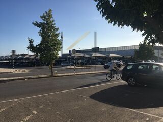 -213380059_IDf08b9e01-0000-0500-0000-000015cf3b16.jpg