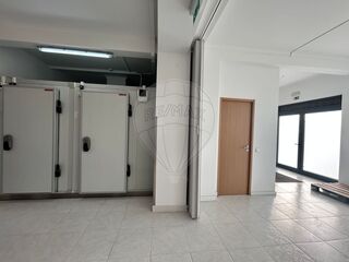 -1123751051295_e766cc0d-309a-4de2-9164-0d530213c609.jpg