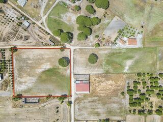 -1123751577018_daf86ae2-16ce-4ca2-bc6f-d477a93df77b.jpg
