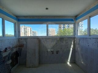 -1121161139303_229a8723-4fd3-4cb3-82ea-5c7e601d29f6.jpg