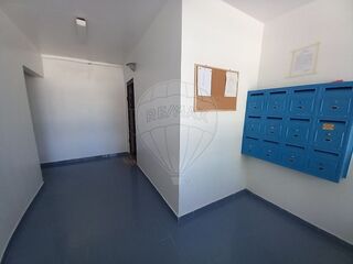 -1121161139303_31bddc49-e4ee-4d44-8d20-762281002f3f.jpg