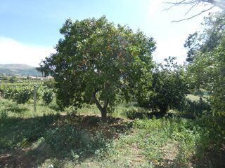 -207585022_ID6dbf2d01-0000-0500-0000-00000cb60abb.jpg