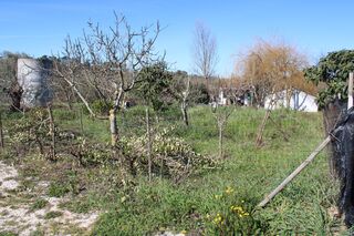 -209501056_IDf4e75601-0000-0500-0000-00000f8f4496.jpg