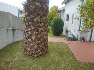 -209532780_ID239d5701-0000-0500-0000-00000f9e0aff.jpg
