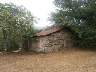 -209585529_IDa5ab5801-0000-0500-0000-00000fb43642.jpg