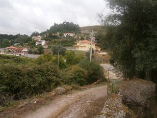 -209585529_IDa5ab5801-0000-0500-0000-00000fb43647.jpg