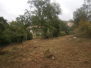-209585529_IDa5ab5801-0000-0500-0000-00000fb43649.jpg