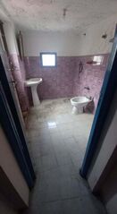 -209597037_ID281a5901-0000-0500-0000-00000fbd7d74.jpg
