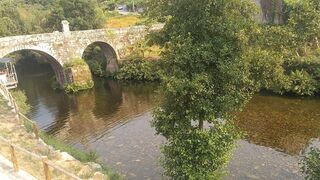 -209597037_ID281a5901-0000-0500-0000-000011801f1b.jpg