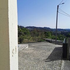 -209636683_ID95365801-0000-0500-0000-00000fd37c41.jpg