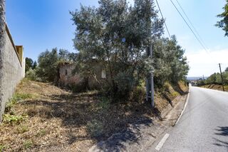 -209779539_ID55cf5901-0000-0500-0000-000010198696.jpg