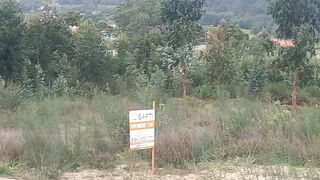 -209957505_ID7bf86101-0000-0500-0000-0000107e3651.jpg