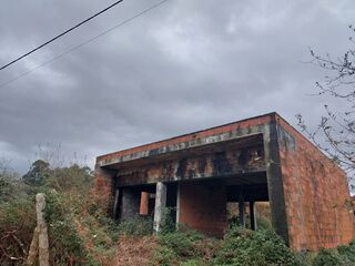 -210079293_IDe5dd6401-0000-0500-0000-000010bd64a4.jpg