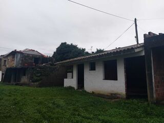 -210079902_ID1fe46401-0000-0500-0000-000010bdd14c.jpg