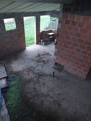 -210079902_ID1fe46401-0000-0500-0000-000010bdd14e.jpg