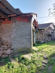 -210118125_IDf3c36501-0000-0500-0000-000010d1b480.jpg
