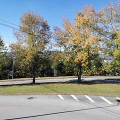 -210176684_ID302a6701-0000-0500-0000-000010f0f2c0.jpg