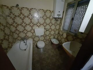 -210185169_ID0b966601-0000-0500-0000-000010f6e1b7.jpg
