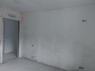 -210259536_ID6a516801-0000-0500-0000-00001109863e.jpg