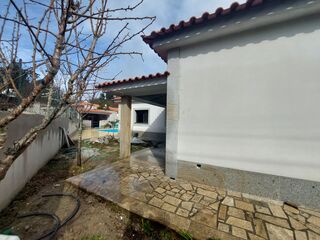 -210259536_ID6a516801-0000-0500-0000-00001109864d.jpg