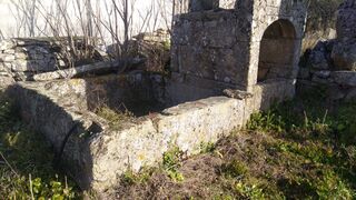 -210281442_IDff1c6301-0000-0500-0000-000011266f0f.jpg