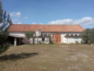 -210302597_IDef136a01-0000-0500-0000-0000113370f7.jpg