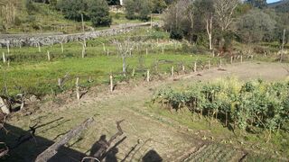 -210330018_ID56636a01-0000-0500-0000-0000113a85b8.jpg
