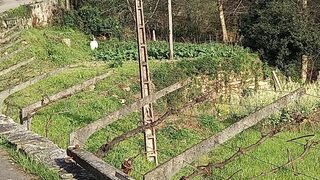 -210330018_ID56636a01-0000-0500-0000-0000113a85bf.jpg