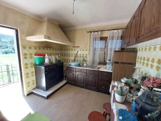 -210330808_IDdf6f6a01-0000-0500-0000-0000113bea7a.jpg