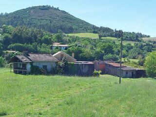 -210330808_IDdf6f6a01-0000-0500-0000-0000113bea94.jpg