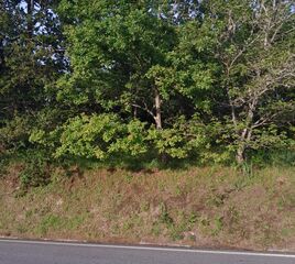 -210372739_IDfd586b01-0000-0500-0000-0000114ecf2b.jpg