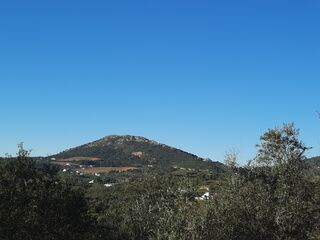 -210406546_IDdb016c01-0000-0500-0000-0000115d5338.jpg