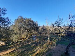 -210406546_IDdb016c01-0000-0500-0000-0000115d5379.jpg
