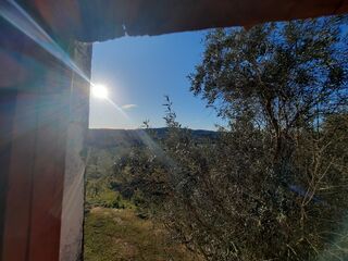 -210406546_IDdb016c01-0000-0500-0000-0000115d538b.jpg