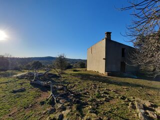 -210406546_IDdb016c01-0000-0500-0000-0000115d5396.jpg