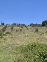 -210416326_ID24326c01-0000-0500-0000-00001162267a.jpg