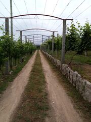 -210481224_ID22516d01-0000-0500-0000-0000117ee597.jpg